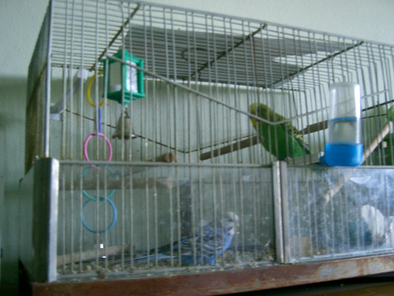 Snímek 024.jpg