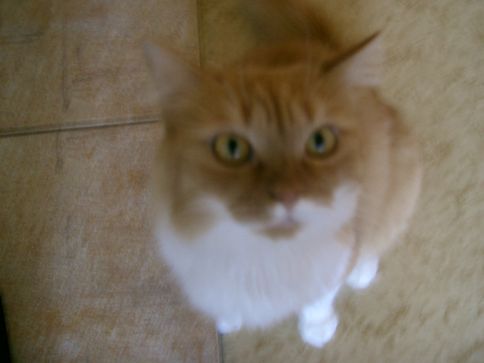 Snímek 031.jpg