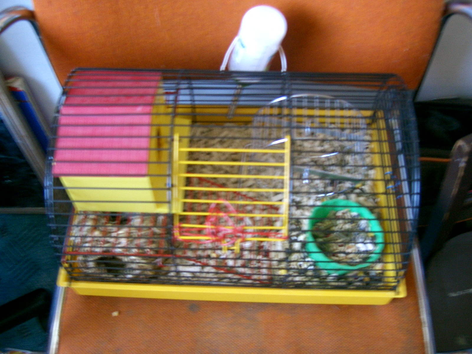 Snímek 026.jpg